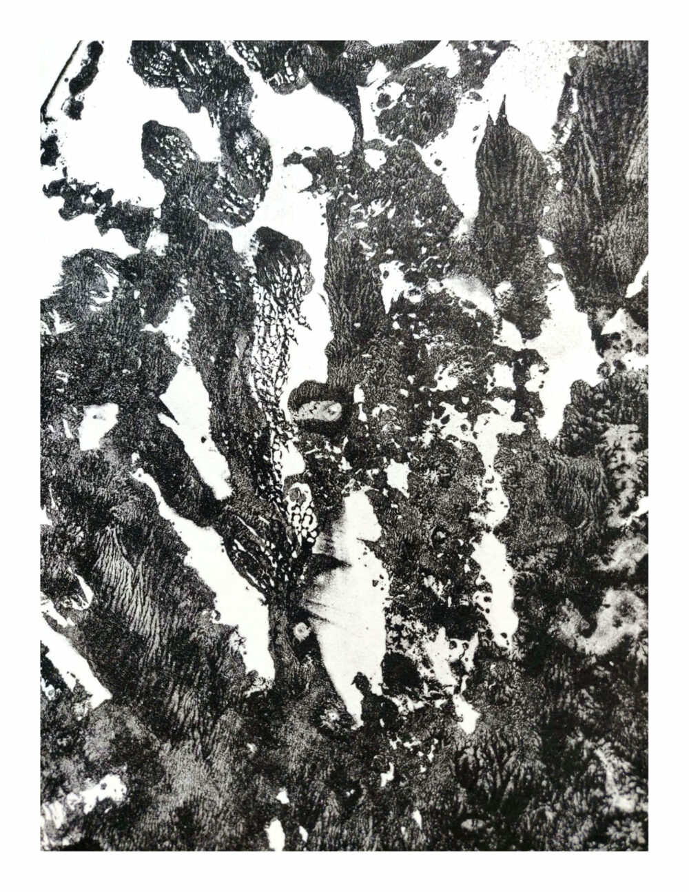 Lithographie L’Odeur de la Pierre I ~ Édition Limitée à 30ex N°& Signés sur papier BFK Rives 300g ~ Format 40x60 – Image 10