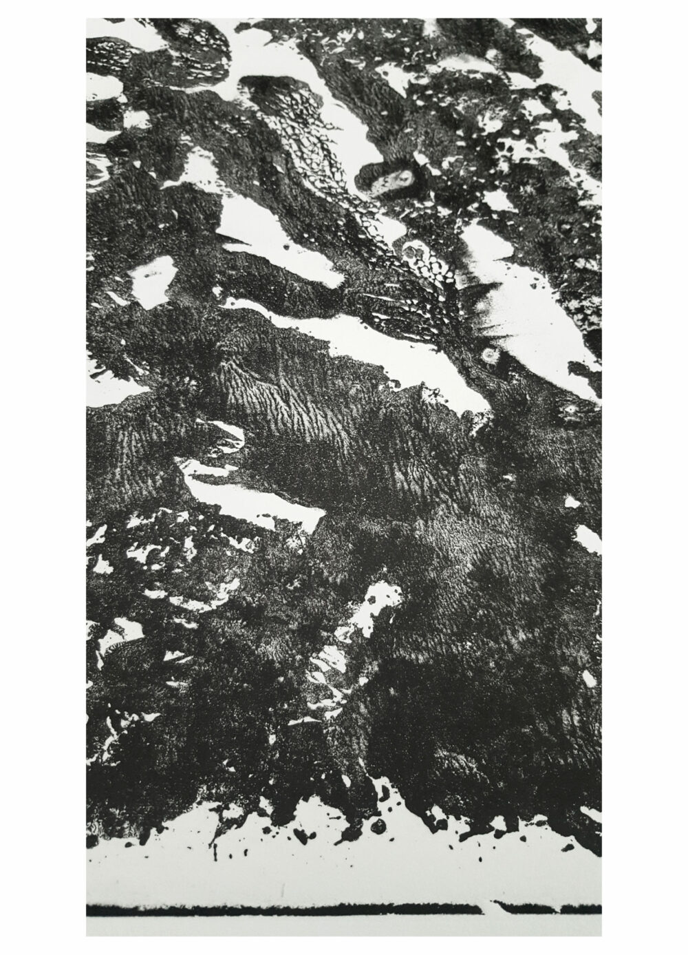 Lithographie L’Odeur de la Pierre I ~ Édition Limitée à 30ex N°& Signés sur papier BFK Rives 300g ~ Format 40x60 – Image 20