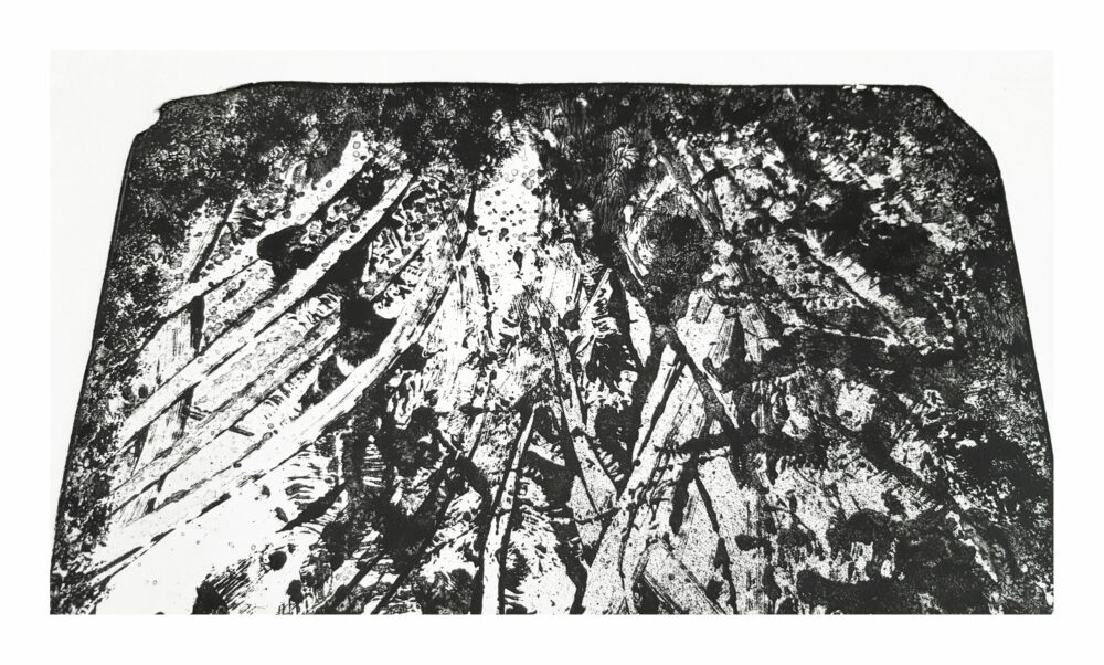 Lithographie L’Odeur de la Pierre II ~ Édition Limitée à 30ex N°& Signés sur papier BFK Rives 300g ~ Format 40x60 – Image 7