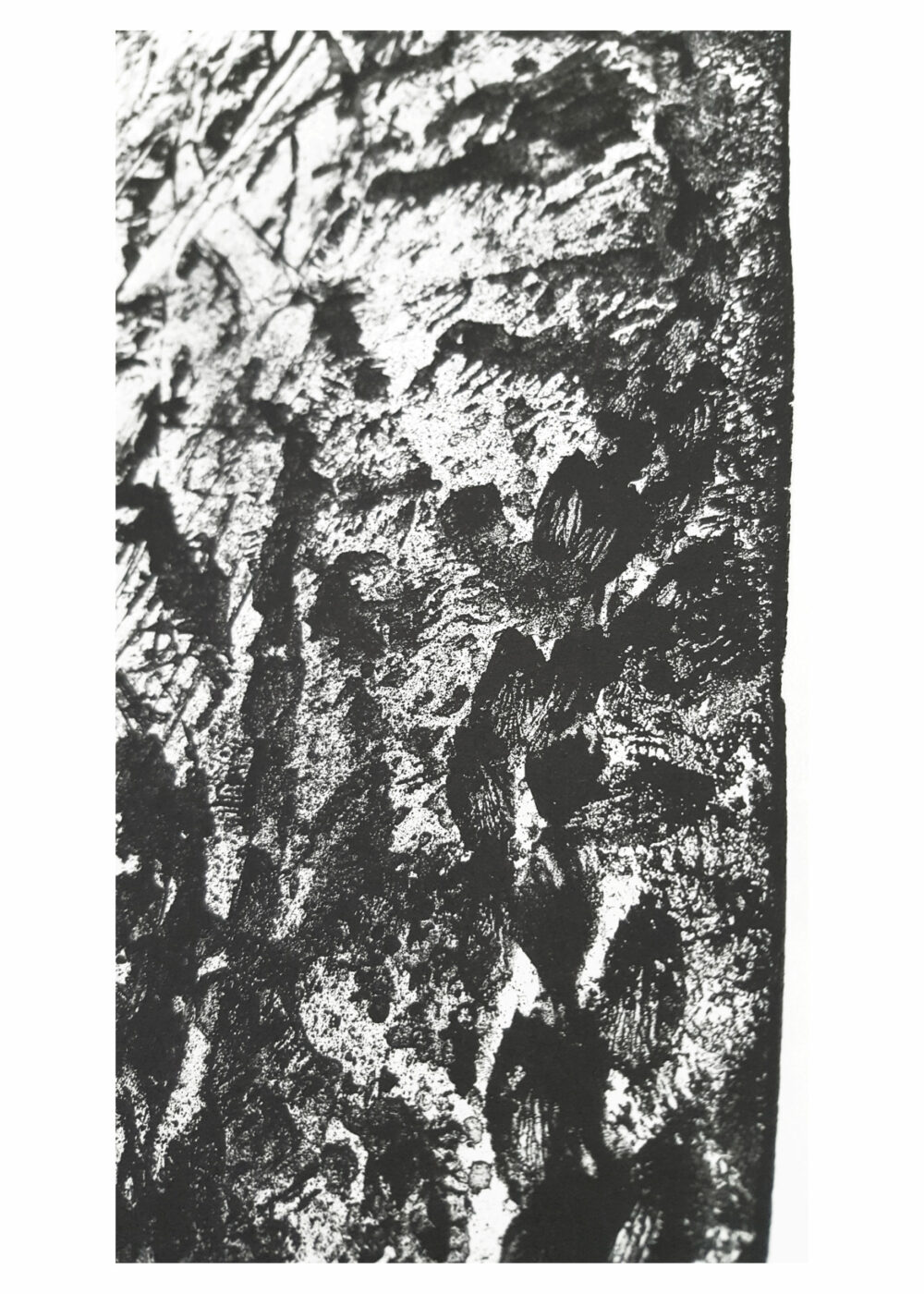 Lithographie L’Odeur de la Pierre II ~ Édition Limitée à 30ex N°& Signés sur papier BFK Rives 300g ~ Format 40x60 – Image 12