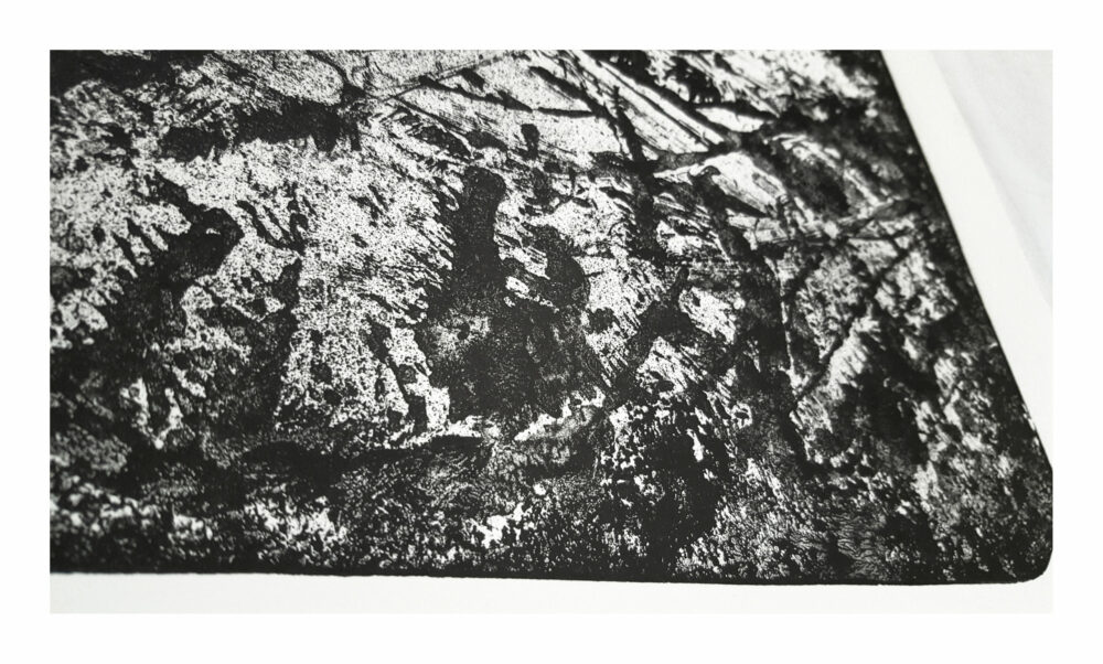Lithographie L’Odeur de la Pierre II ~ Édition Limitée à 30ex N°& Signés sur papier BFK Rives 300g ~ Format 40x60 – Image 18