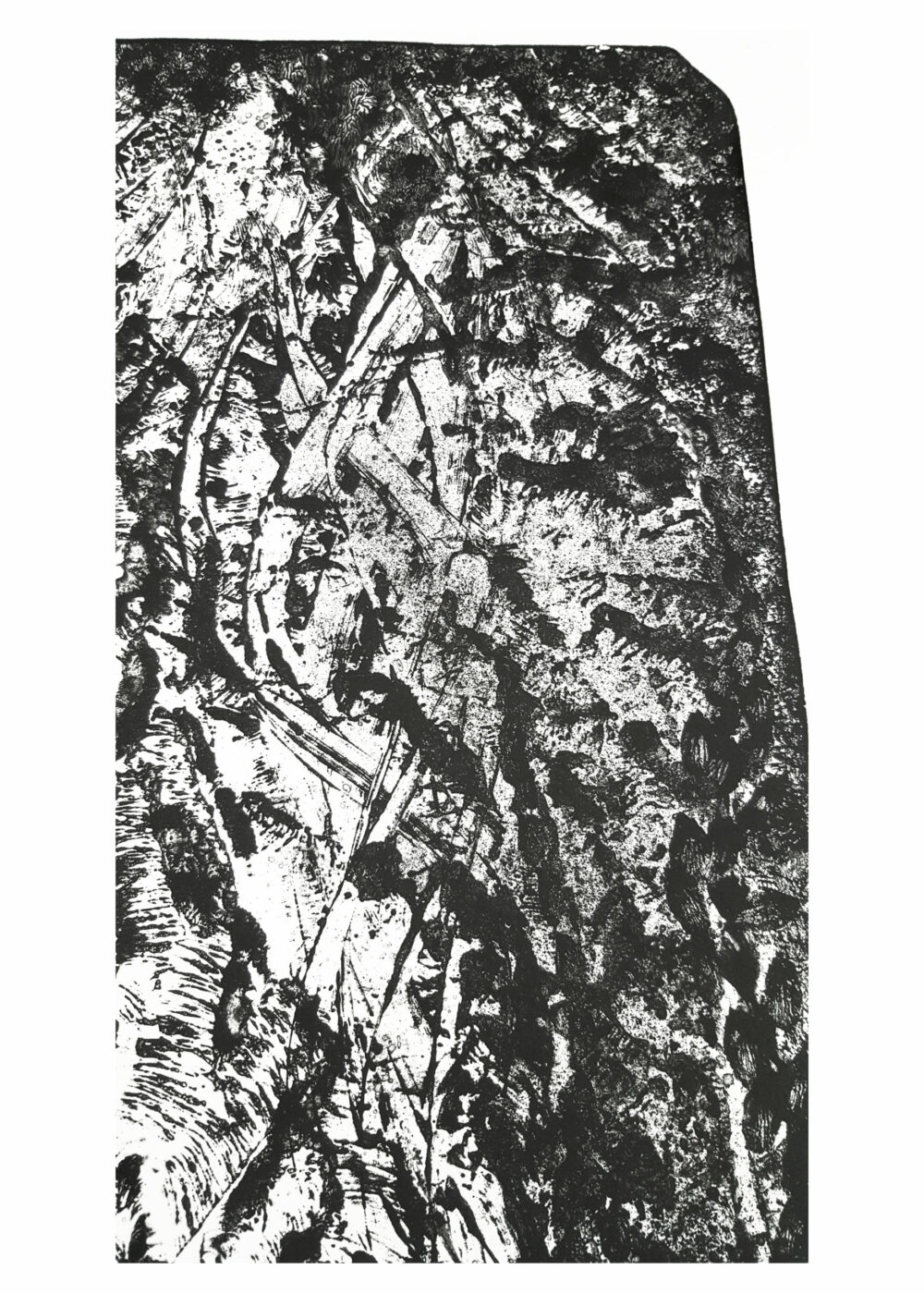 Lithographie L’Odeur de la Pierre II ~ Édition Limitée à 30ex N°& Signés sur papier BFK Rives 300g ~ Format 40x60 – Image 22