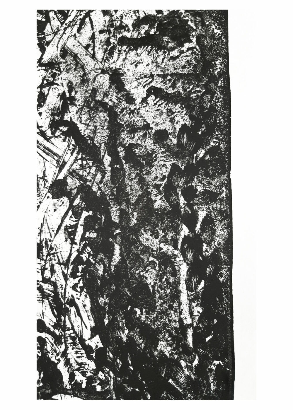 Lithographie L’Odeur de la Pierre II ~ Édition Limitée à 30ex N°& Signés sur papier BFK Rives 300g ~ Format 40x60 – Image 21