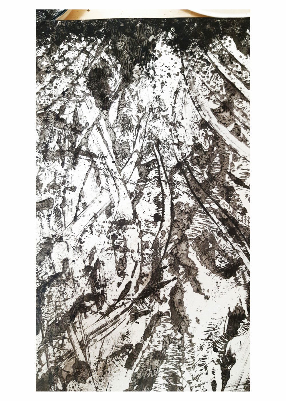 Lithographie L’Odeur de la Pierre II ~ Édition Limitée à 30ex N°& Signés sur papier BFK Rives 300g ~ Format 40x60 – Image 27