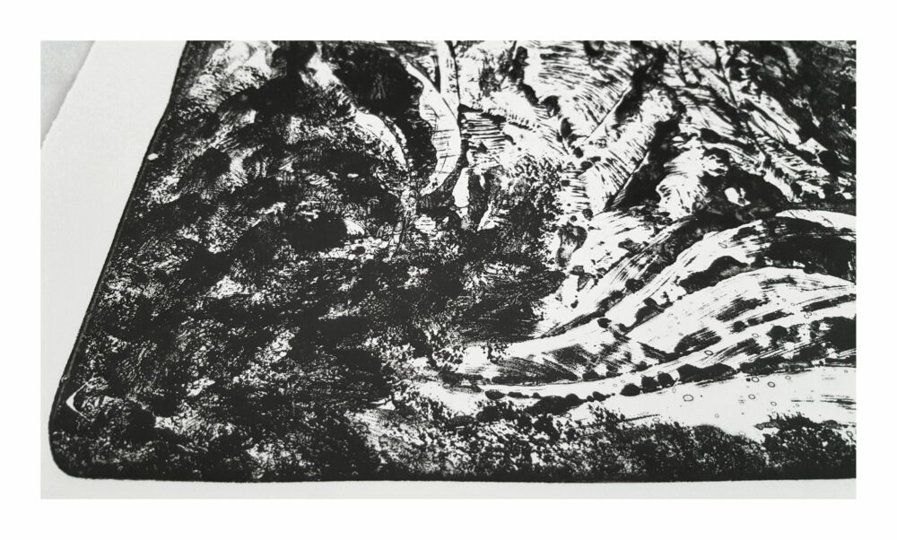 Lithographie L’Odeur de la Pierre II ~ Édition Limitée à 30ex N°& Signés sur papier BFK Rives 300g ~ Format 40x60 – Image 6