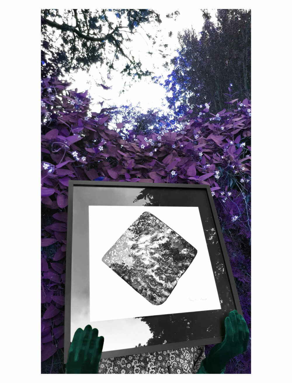 Lithographie L’Odeur de la Pierre III ~ Édition Limitée à 20ex N°& Signés sur papier BFK Rives 300g ~ 50x50 Encadrée – Image 30