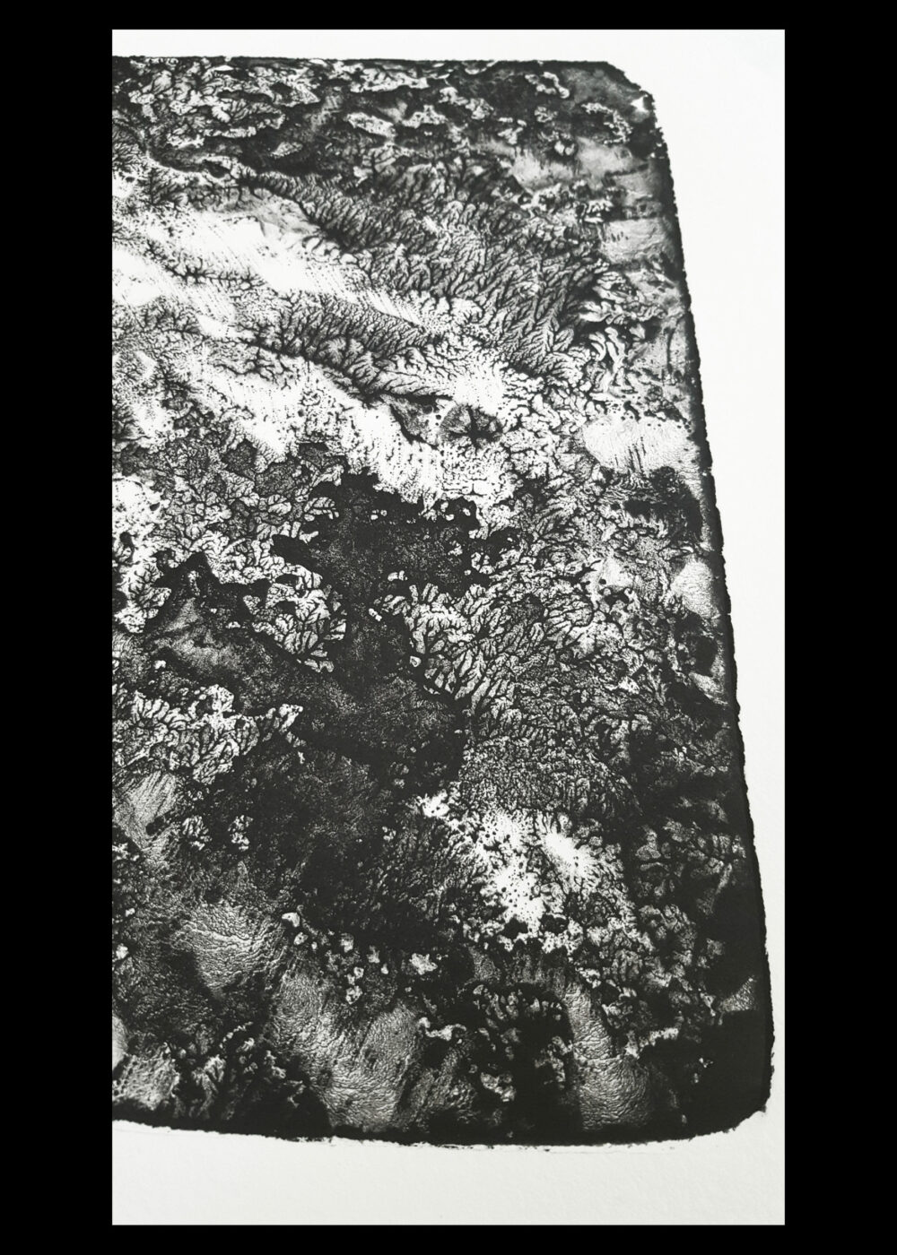 Lithographie L’Odeur de la Pierre III ~ Édition Limitée à 20ex N°& Signés sur papier BFK Rives 300g ~ Format 35x40 – Image 20
