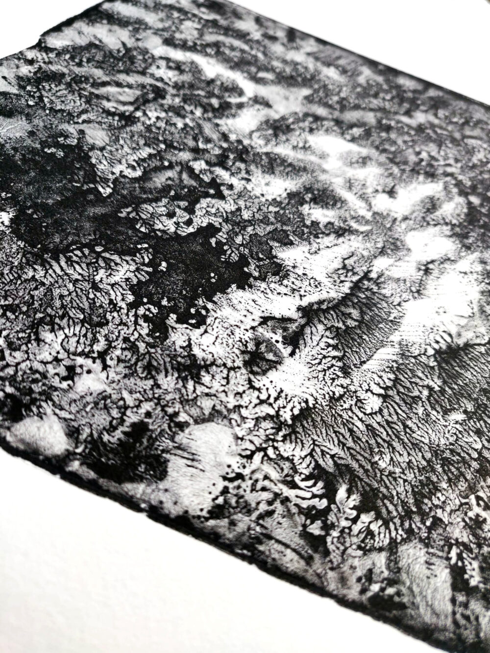 Lithographie L’Odeur de la Pierre III ~ Édition Limitée à 20ex N°& Signés sur papier BFK Rives 300g ~ Format 35x40 – Image 10