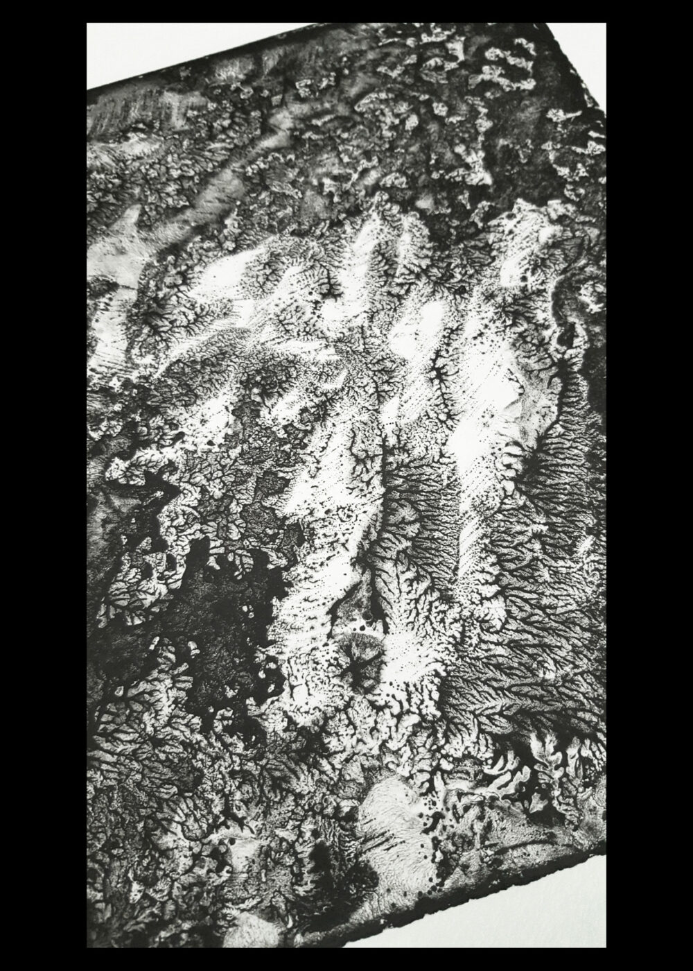 Lithographie L’Odeur de la Pierre III ~ Édition Limitée à 20ex N°& Signés sur papier BFK Rives 300g ~ Format 35x40 – Image 14