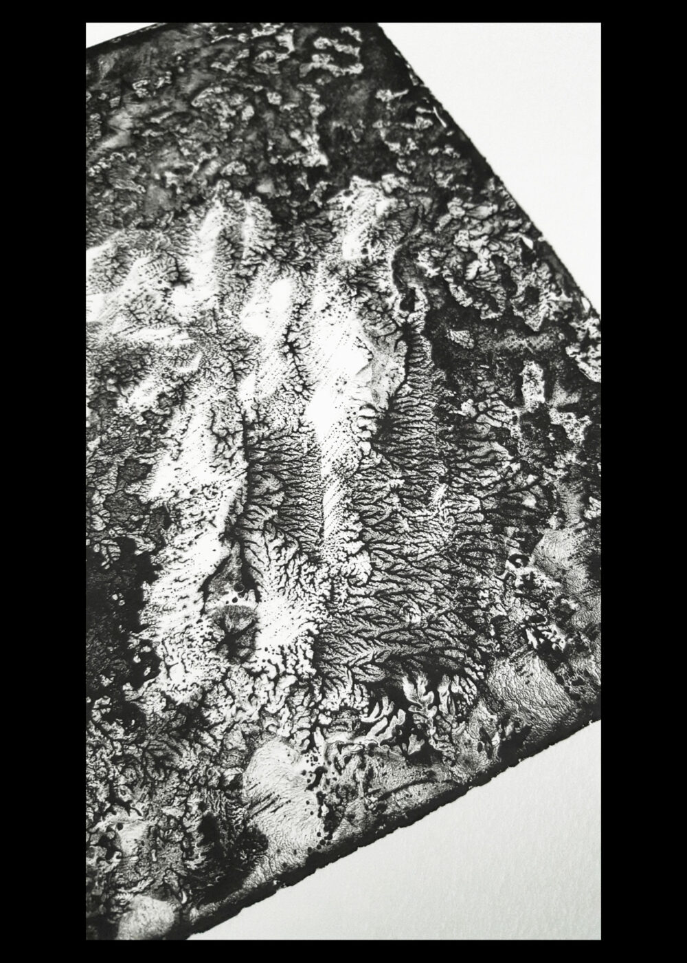 Lithographie L’Odeur de la Pierre III ~ Édition Limitée à 20ex N°& Signés sur papier BFK Rives 300g ~ Format 35x40 – Image 15