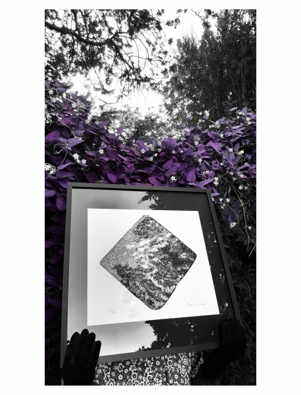 Lithographie L’Odeur de la Pierre III ~ Édition Limitée à 20ex N°& Signés sur papier BFK Rives 300g ~ 50x50 Encadrée – Image 32