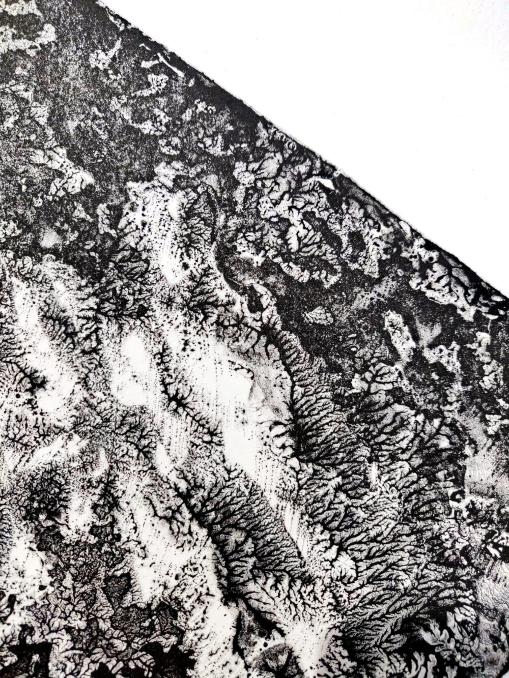 Lithographie L’Odeur de la Pierre III ~ Édition Limitée à 20ex N°& Signés sur papier BFK Rives 300g ~ Format 35x40 – Image 12
