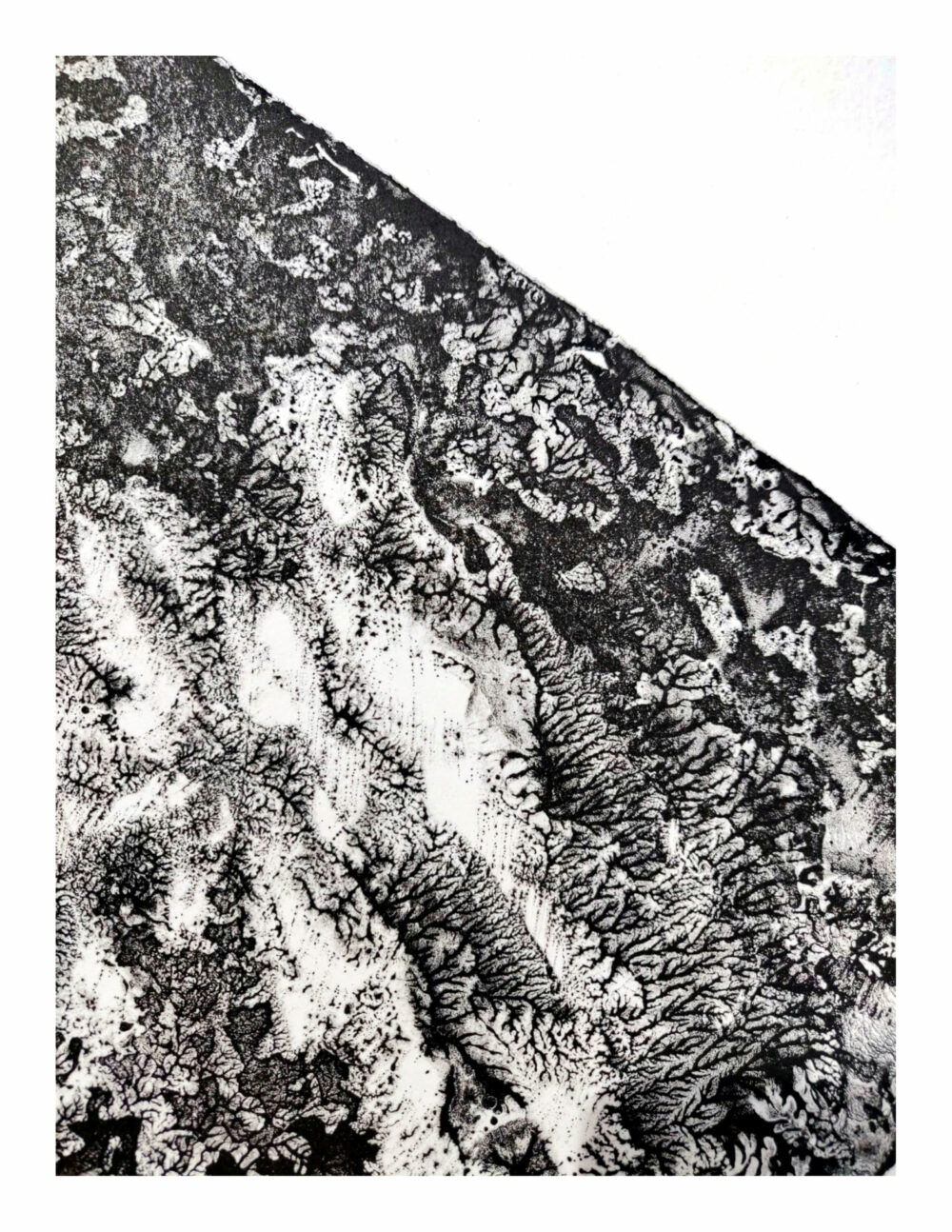 Lithographie L’Odeur de la Pierre III ~ Édition Limitée à 20ex N°& Signés sur papier BFK Rives 300g ~ Format 35x40 – Image 4