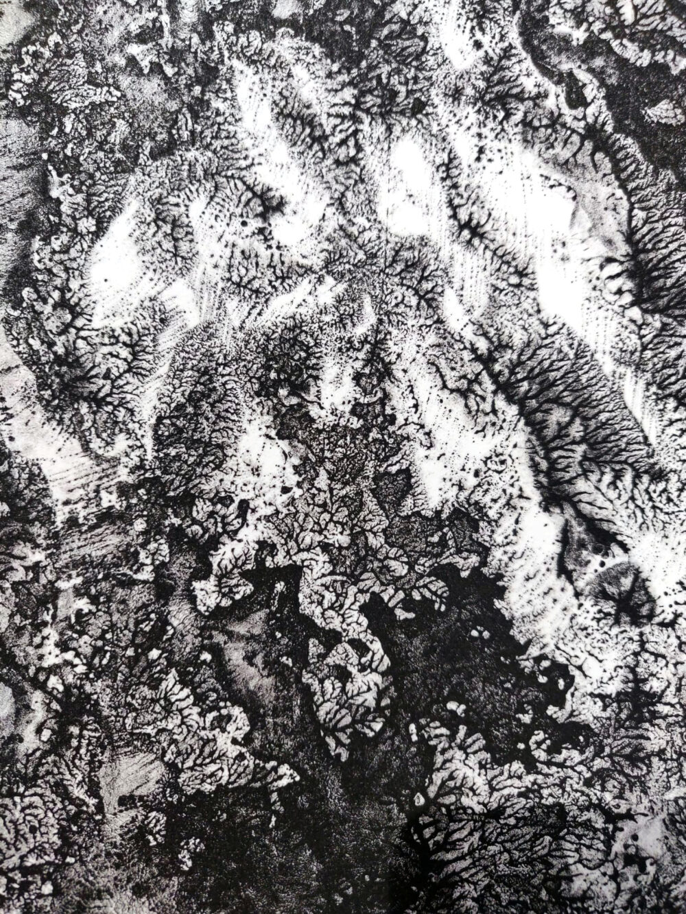 Lithographie L’Odeur de la Pierre III ~ Édition Limitée à 20ex N°& Signés sur papier BFK Rives 300g ~ Format 35x40 – Image 11