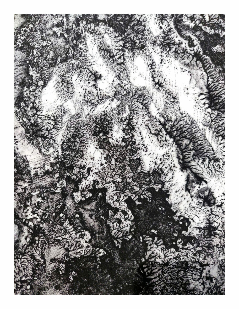 Lithographie L’Odeur de la Pierre III ~ Édition Limitée à 20ex N°& Signés sur papier BFK Rives 300g ~ Format 35x40 – Image 3