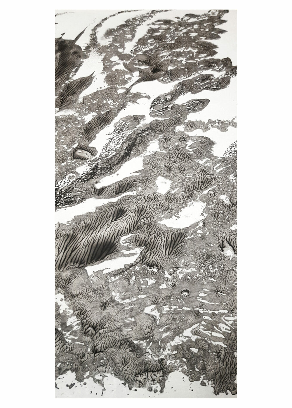 Lithographie L’Odeur de la Pierre I ~ Édition Limitée à 30ex N°& Signés sur papier BFK Rives 300g ~ Format 40x60 – Image 22