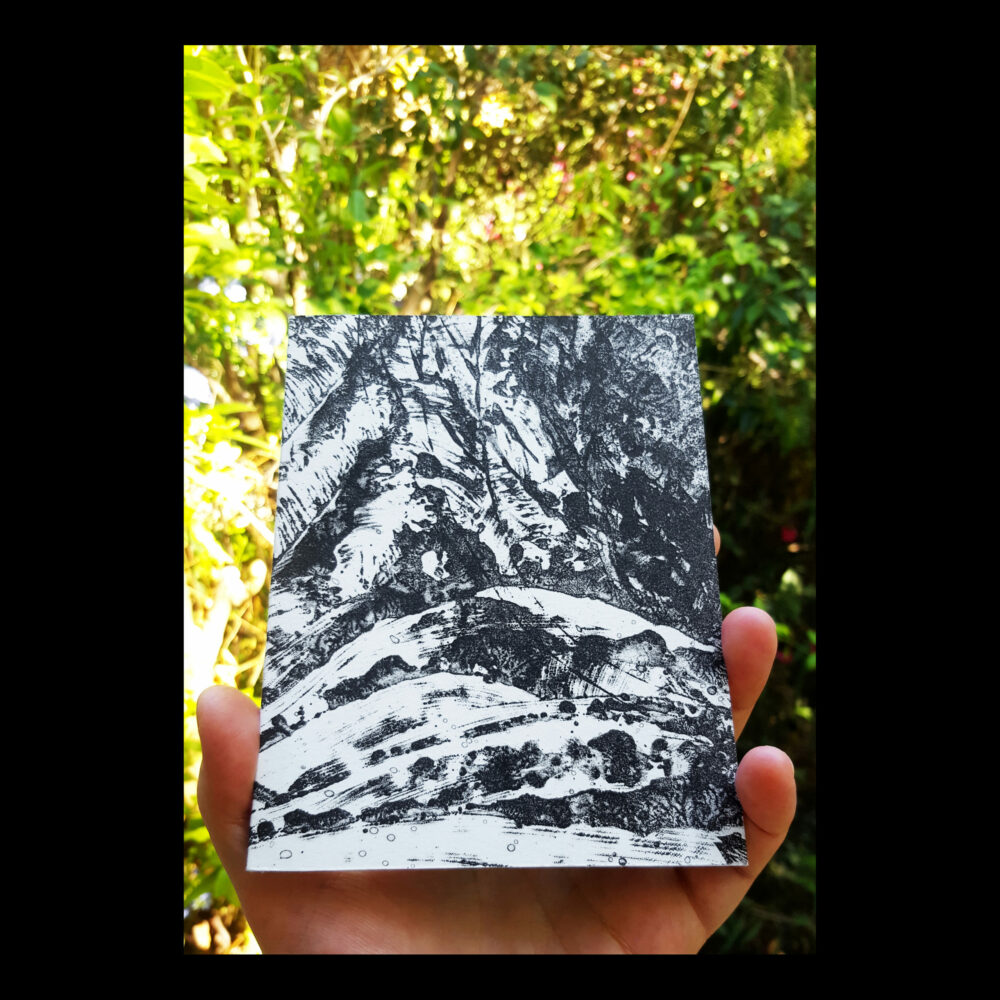 Carnets