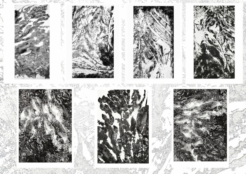 Série de 7 Cartes Postales L'odeur de la pierre ~ Limitées à 100ex N°Signées ~ Alga Carta Favini ~ – Image 16