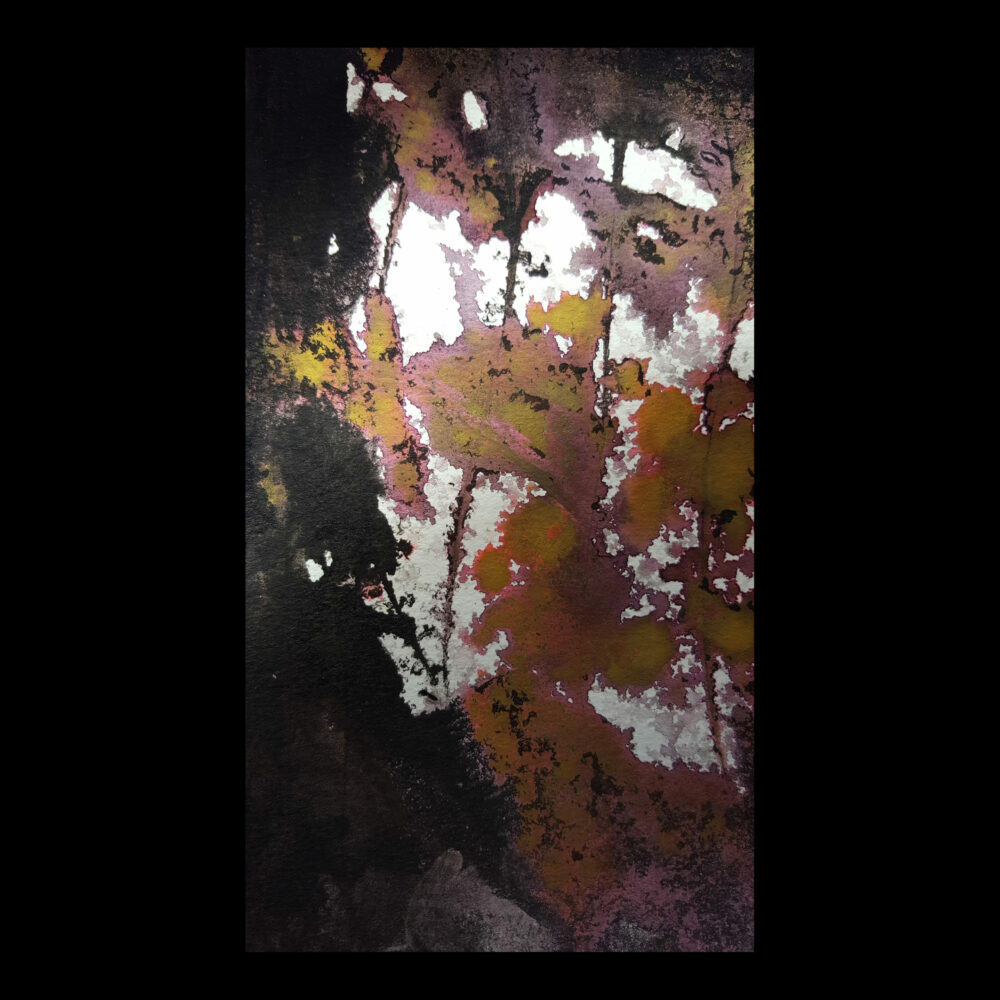 Carte Blanche ~ 50€/an