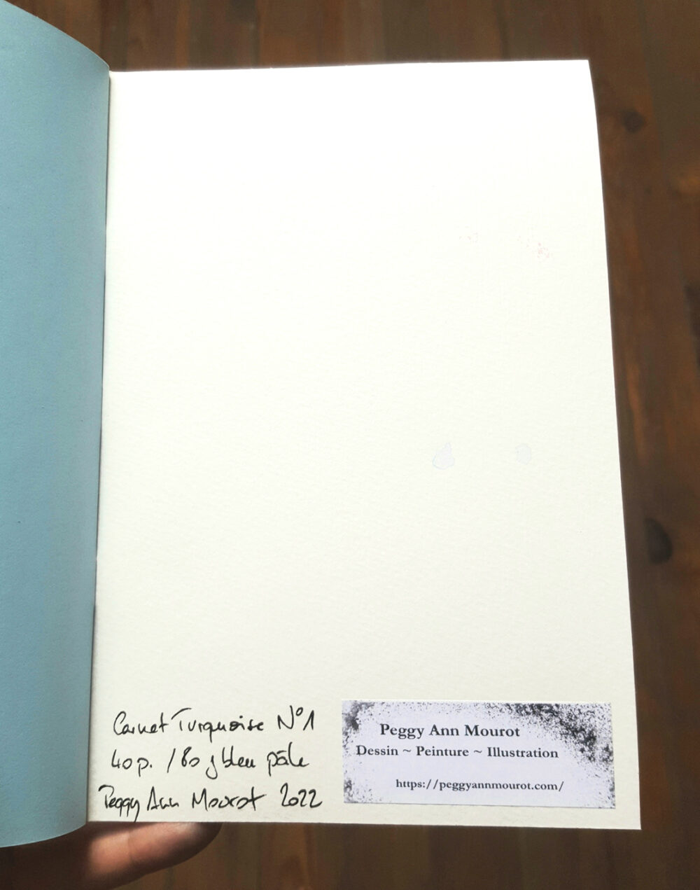 Carnets Uniques Turquoises I & II Signés ~ Couvertures Dessins originaux Encre & Acrylique ~ SOLD OUT – Image 3