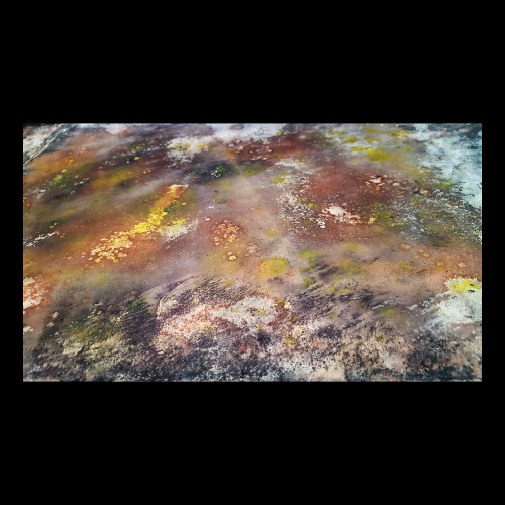 Carte Blanche ~ 250€/an