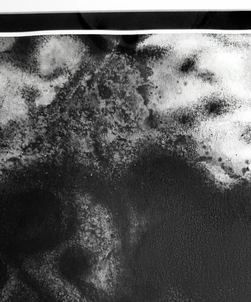 The Birth Of Godzi ~ Dessin à l'Encre de Chine ~ 40x50 Encadré – Image 10