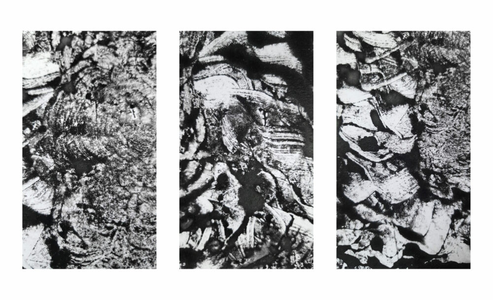 Arès ~ Monotype ~ Encre / 250g mat ~ Encadré Métal A4 – Image 25