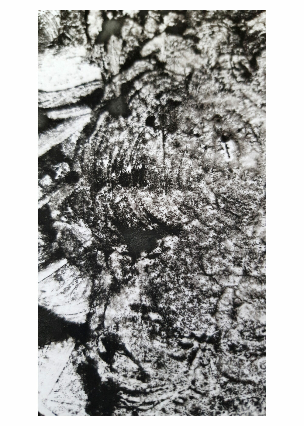 Arès ~ Monotype ~ Encre / 250g mat ~ Encadré Métal A4 – Image 5