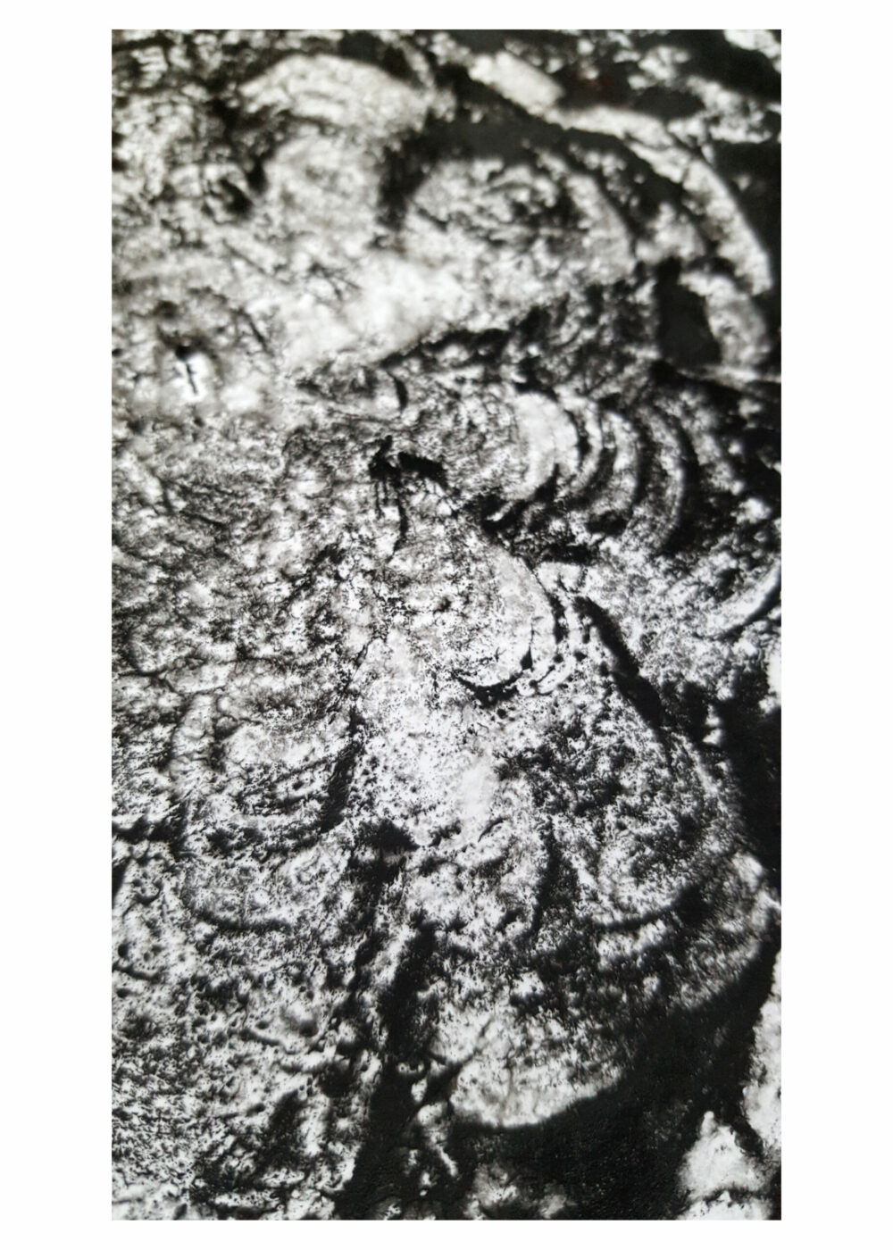 Arès ~ Monotype ~ Encre / 250g mat ~ Encadré Métal A4 – Image 6