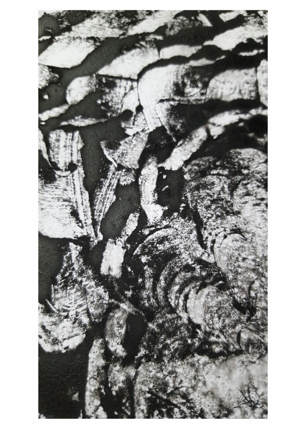 Arès ~ Monotype ~ Encre / 250g mat ~ Encadré Métal A4 – Image 7