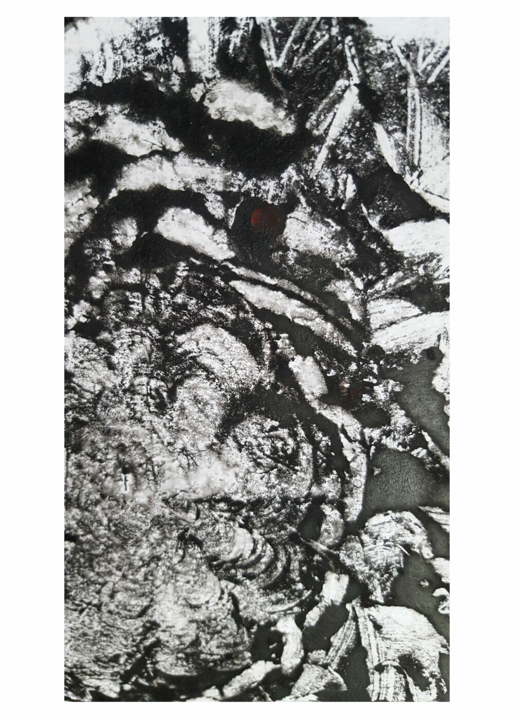 Arès ~ Monotype ~ Encre / 250g mat ~ Encadré Métal A4 – Image 8