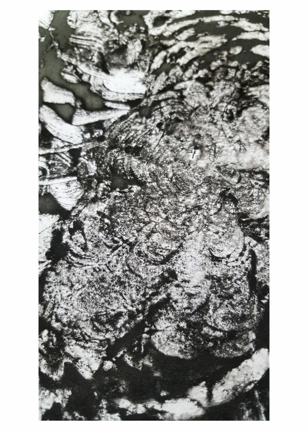 Arès ~ Monotype ~ Encre / 250g mat ~ Encadré Métal A4 – Image 21