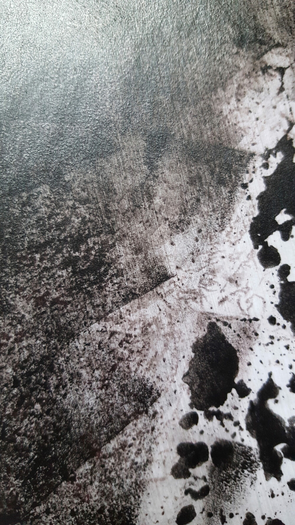 Siamese ~ Dessin à l’Encre de Chine & Acrylique ~ Encadré Métal A4 – Image 13