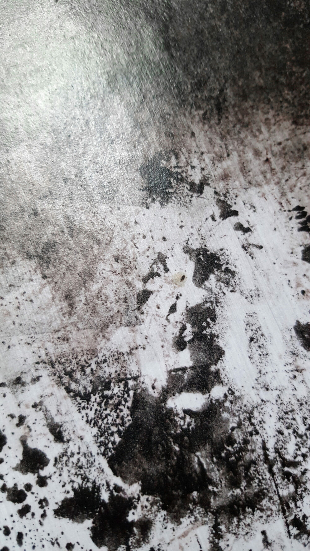 Siamese ~ Dessin à l’Encre de Chine & Acrylique ~ Encadré Métal A4 – Image 14