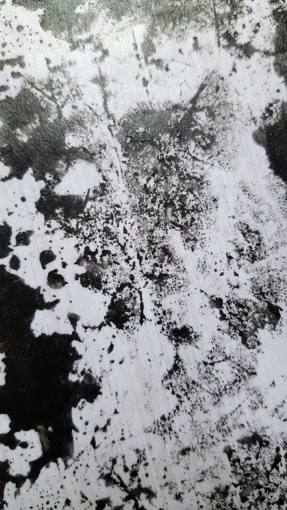 Siamese ~ Dessin à l’Encre de Chine & Acrylique ~ Encadré Métal A4 – Image 15