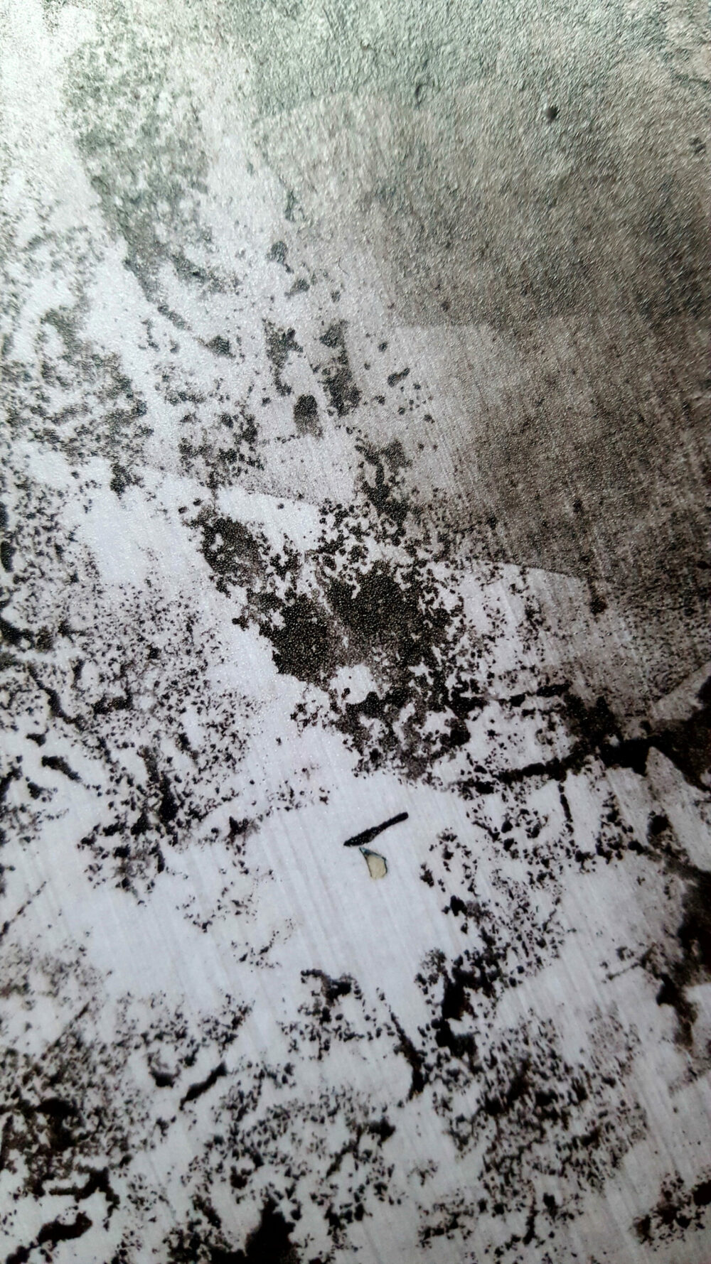 Siamese ~ Dessin à l’Encre de Chine & Acrylique ~ Encadré Métal A4 – Image 16