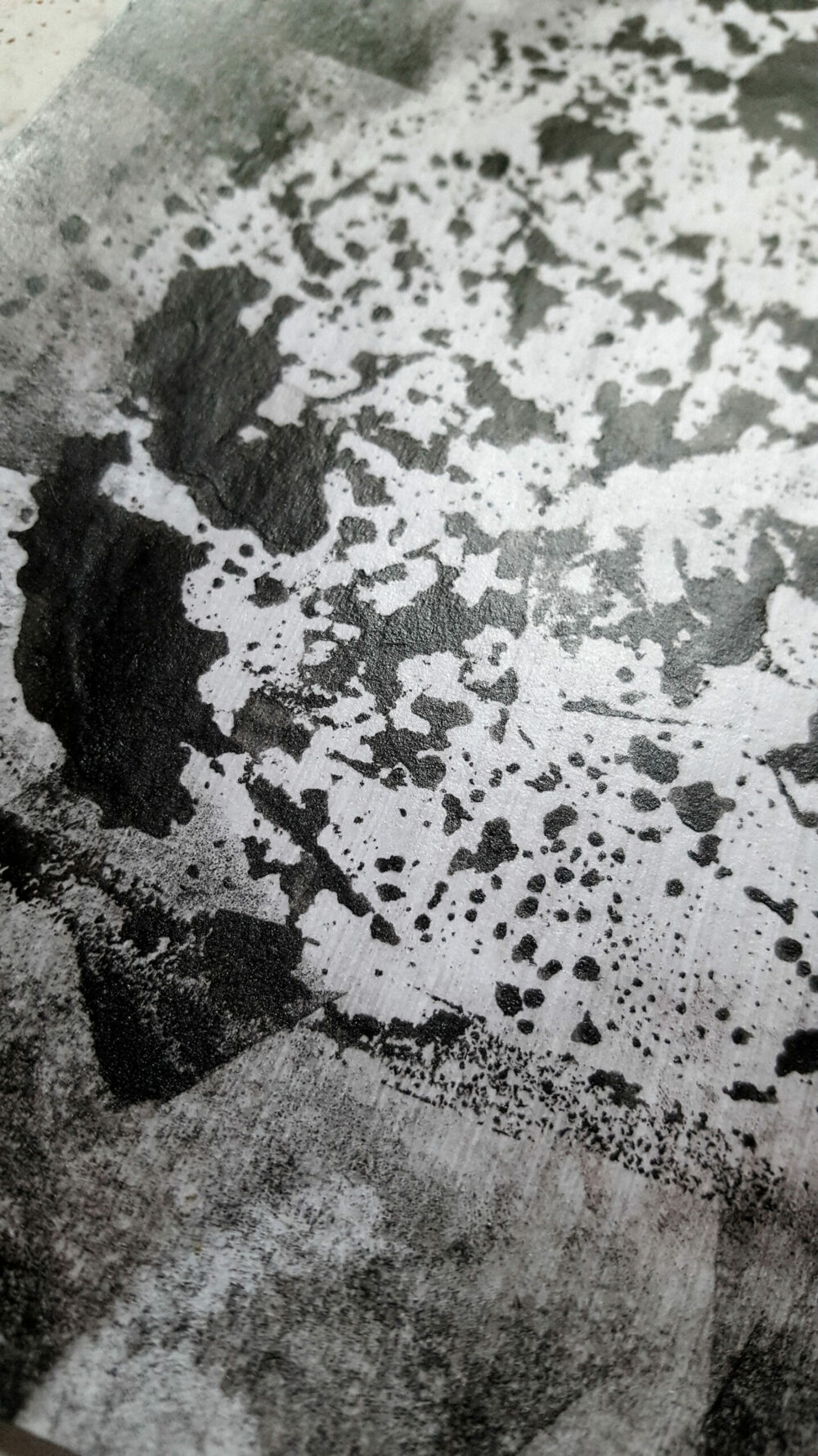 Siamese ~ Dessin à l’Encre de Chine & Acrylique ~ Encadré Métal A4 – Image 17