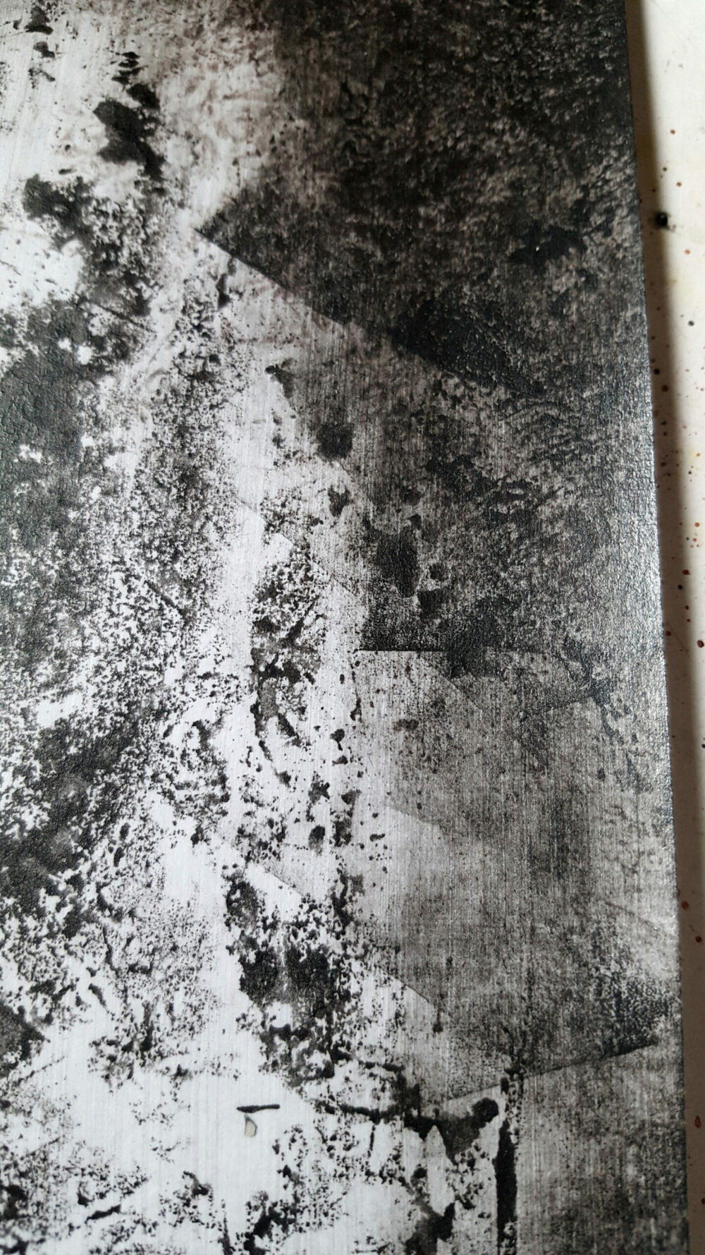 Siamese ~ Dessin à l’Encre de Chine & Acrylique ~ Encadré Métal A4 – Image 18