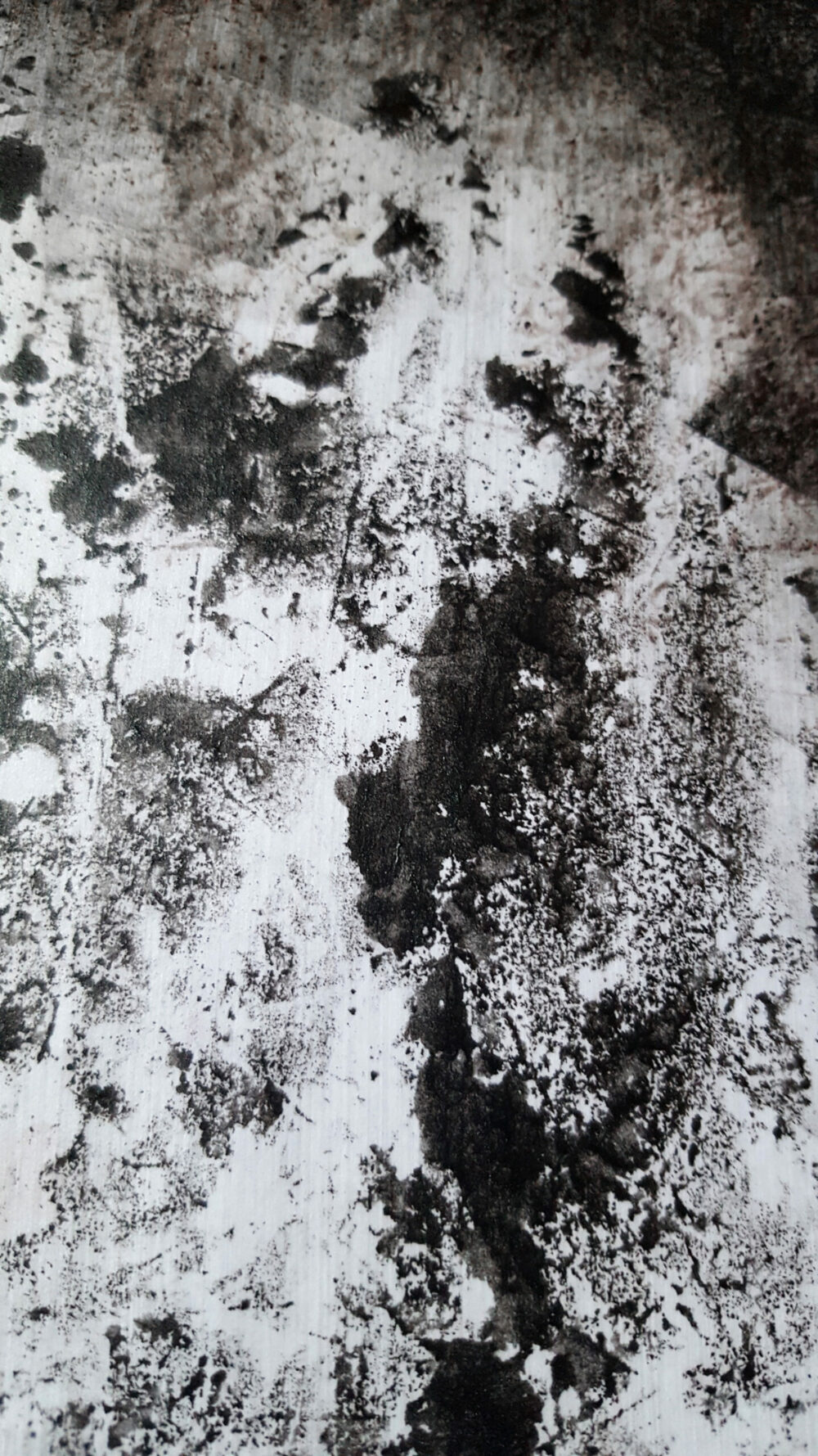Siamese ~ Dessin à l’Encre de Chine & Acrylique ~ Encadré Métal A4 – Image 19