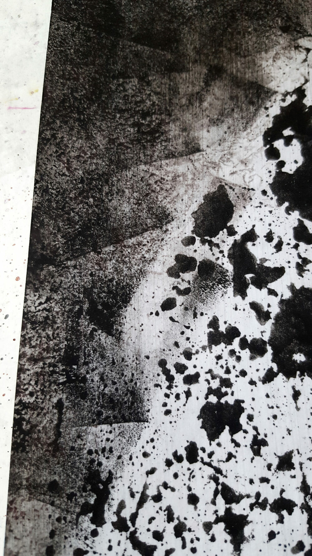 Siamese ~ Dessin à l’Encre de Chine & Acrylique ~ Encadré Métal A4 – Image 20