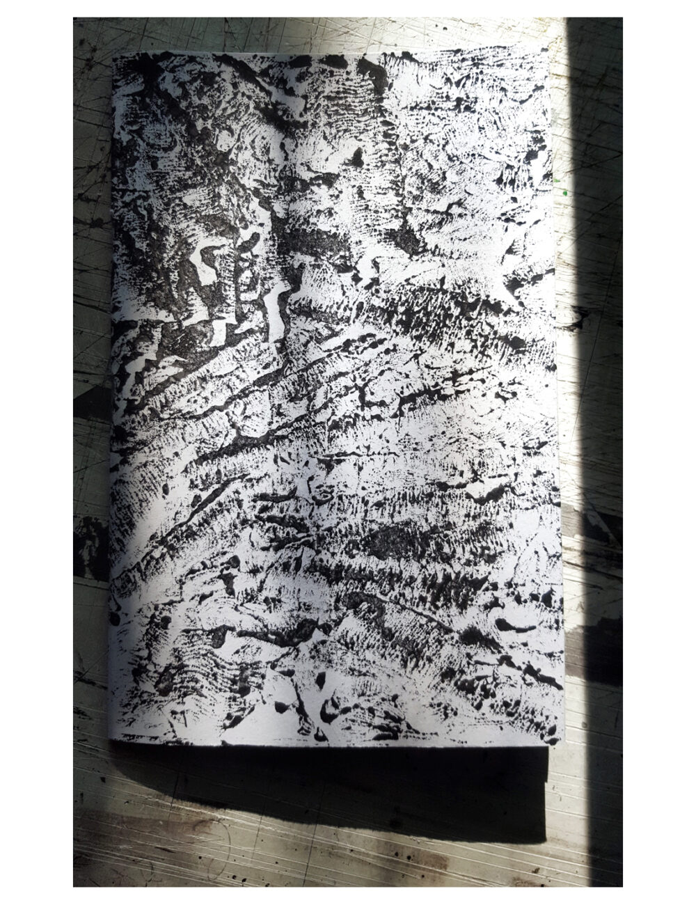 Carnets Uniques Ossuary I & II Signés ~ Couvertures Originales Monotypes ~ SOLD OUT – Image 2