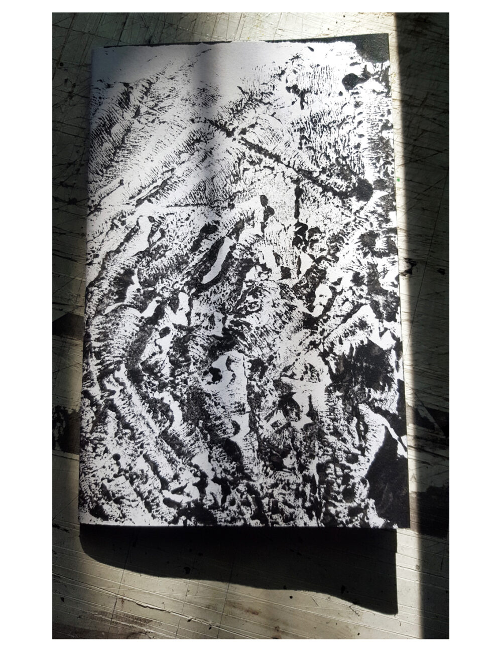 Carnets Uniques Ossuary I & II Signés ~ Couvertures Originales Monotypes ~ SOLD OUT – Image 3