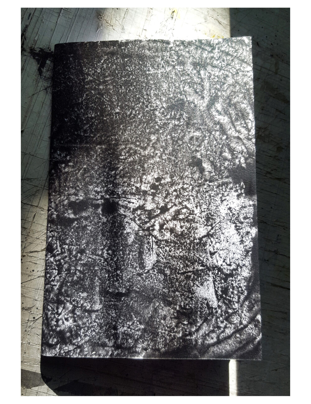 Carnets Uniques Ossuary I & II Signés ~ Couvertures Originales Monotypes ~ SOLD OUT – Image 5