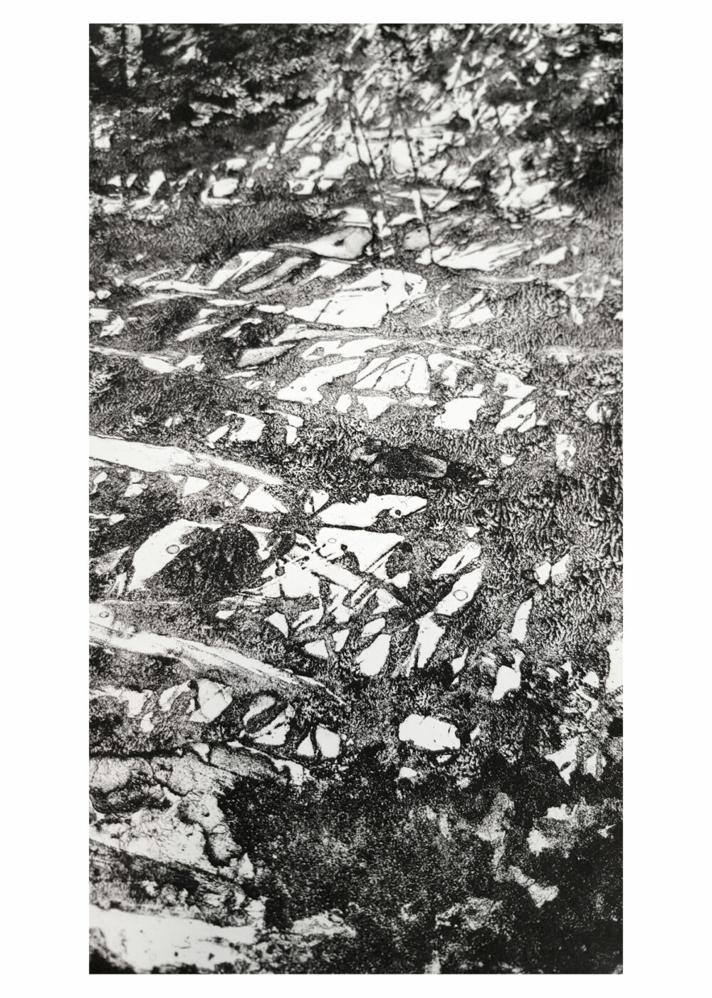 Lithographie IV ~ Épilogue à L’odeur de la pierre ~ Édition Limitée à 25ex N°& Signés sur papier BFK Rives 300g ~ Format 40x60 – Image 3