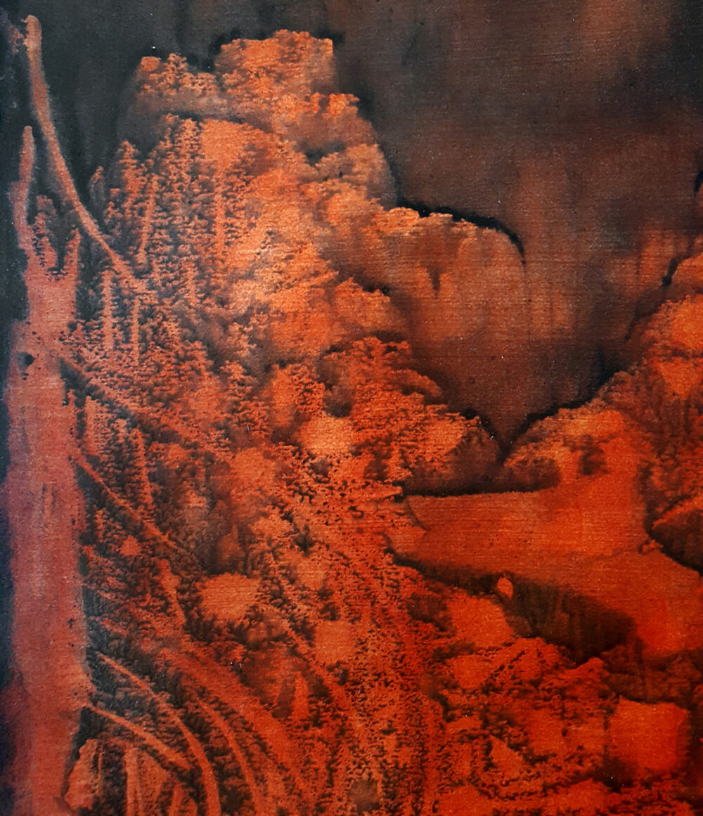 Medulio ~ Dessin à l'Encre de Chine & Acrylique ~ Format Raisin (50 x 65 cm) ~ Non encadré ~ SOLD OUT – Image 5