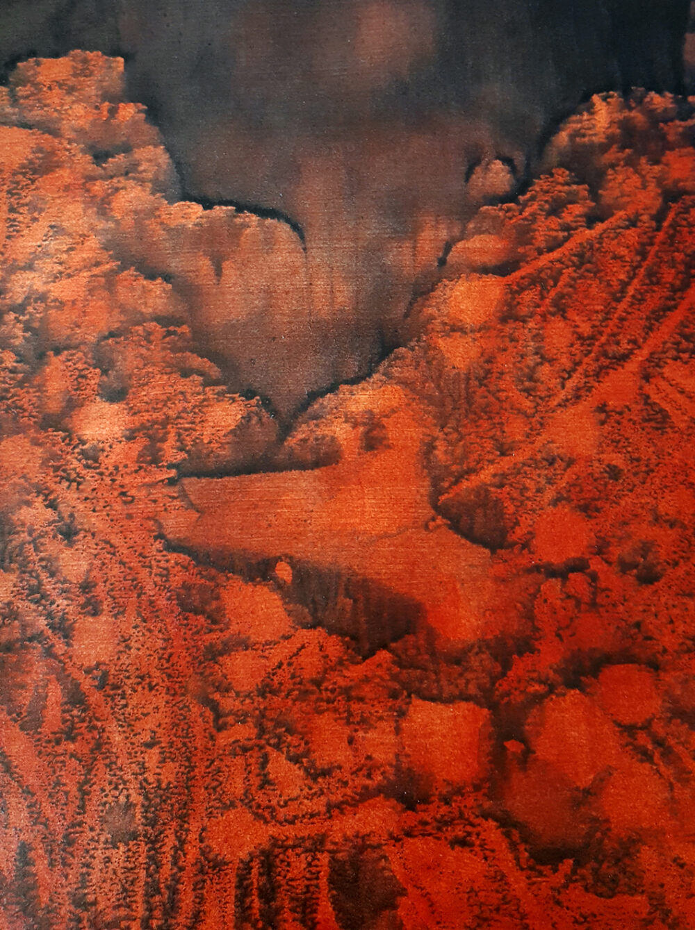 Medulio ~ Dessin à l'Encre de Chine & Acrylique ~ Format Raisin (50 x 65 cm) ~ Non encadré ~ SOLD OUT – Image 6
