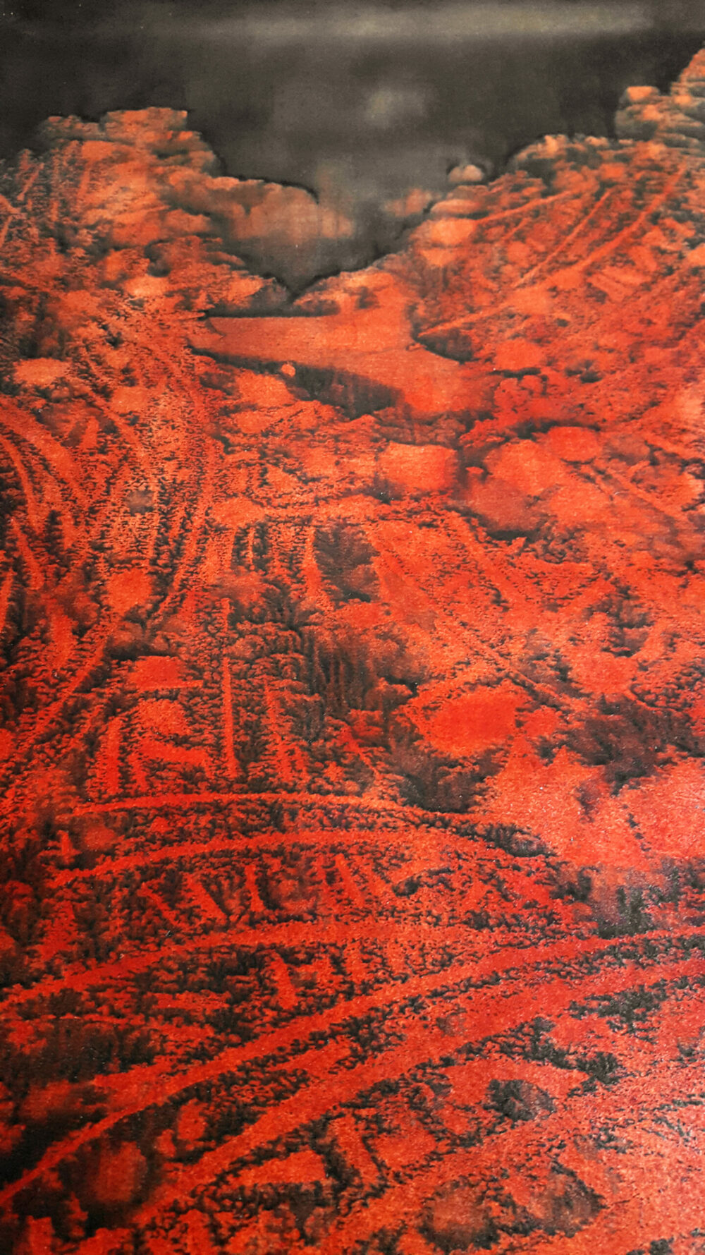 Medulio ~ Dessin à l'Encre de Chine & Acrylique ~ Format Raisin (50 x 65 cm) ~ Non encadré ~ SOLD OUT – Image 9