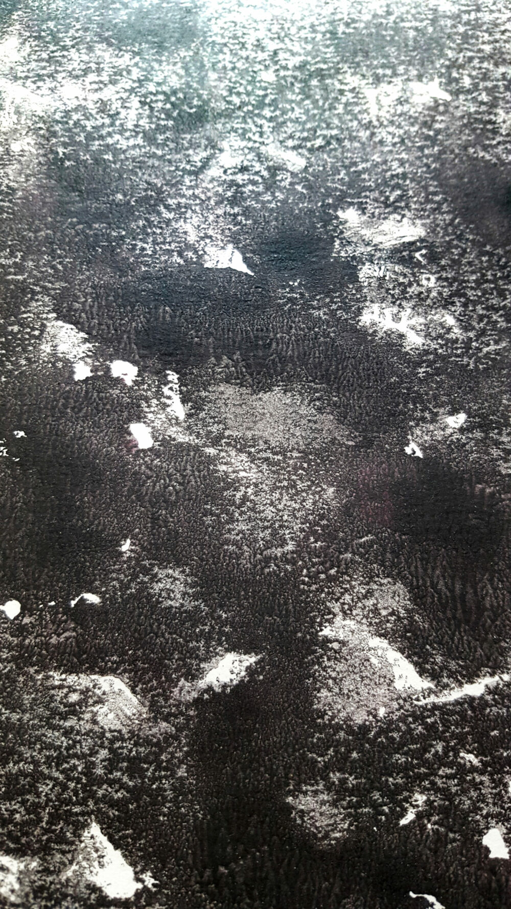 Shetland ~ Encre de Chine & Acrylique ~ Format 42x59,4 - A2 (non encadré) – Image 10