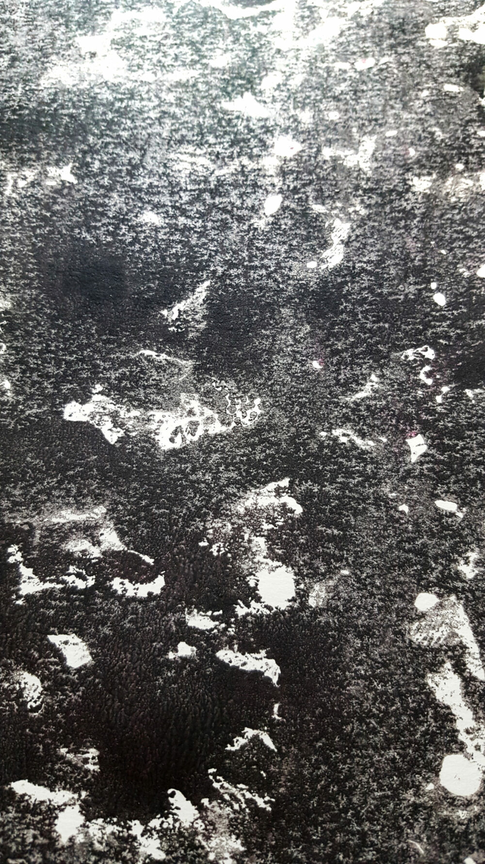 Shetland ~ Encre de Chine & Acrylique ~ Format 42x59,4 - A2 (non encadré) – Image 9
