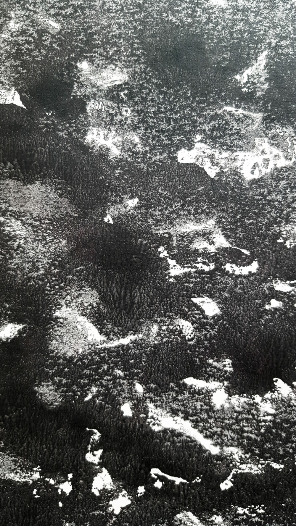 Shetland ~ Encre de Chine & Acrylique ~ Format 42x59,4 - A2 (non encadré) – Image 2